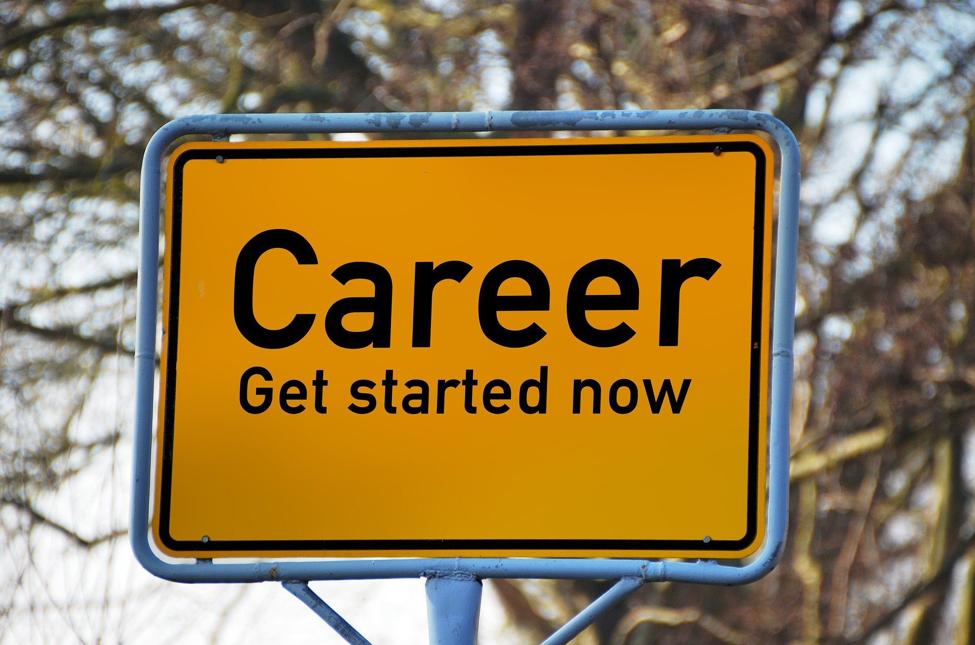 importance of career guidance