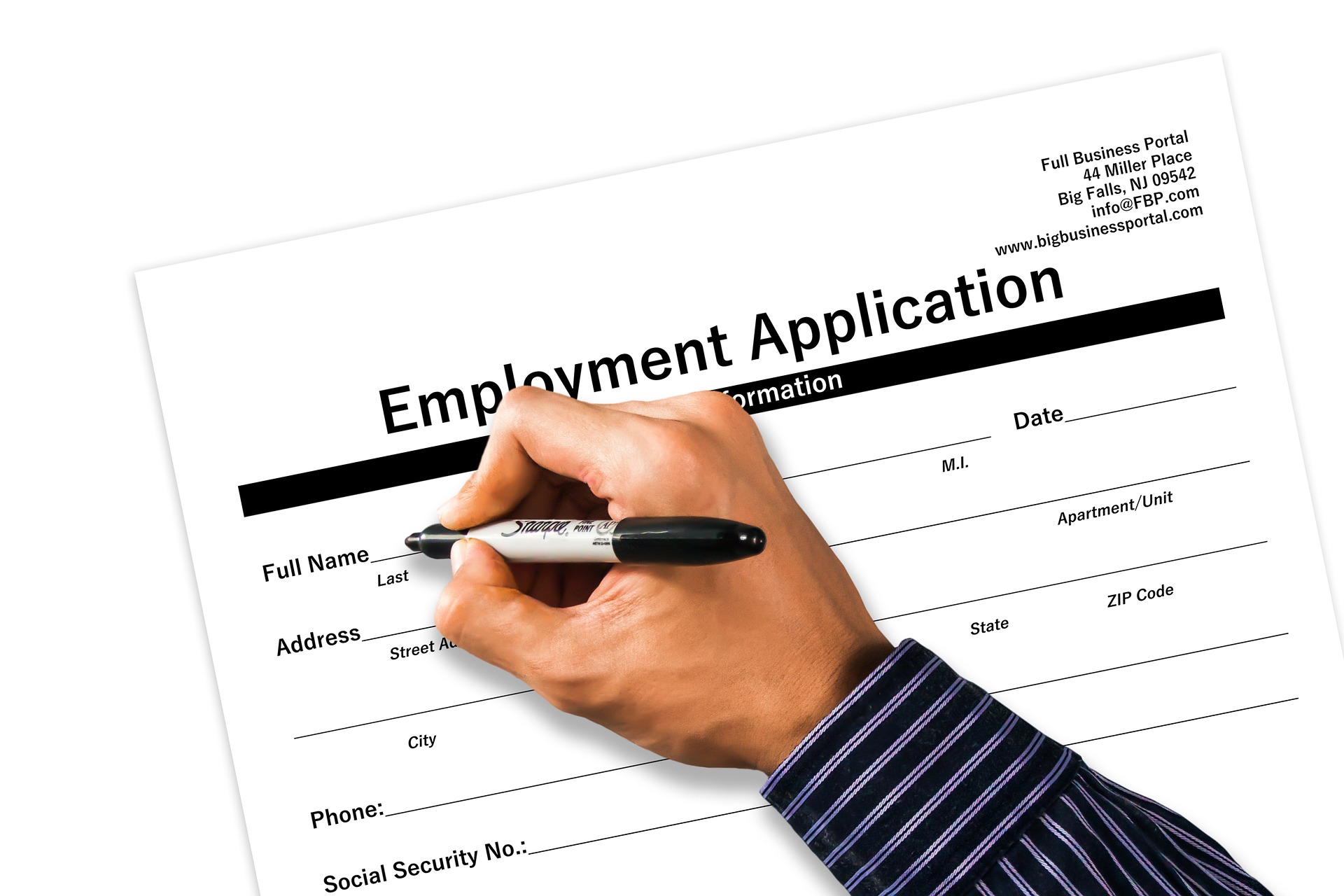 employment letter application